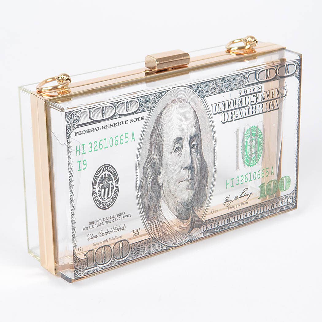 Money Printed Transparent Hard Case Bag