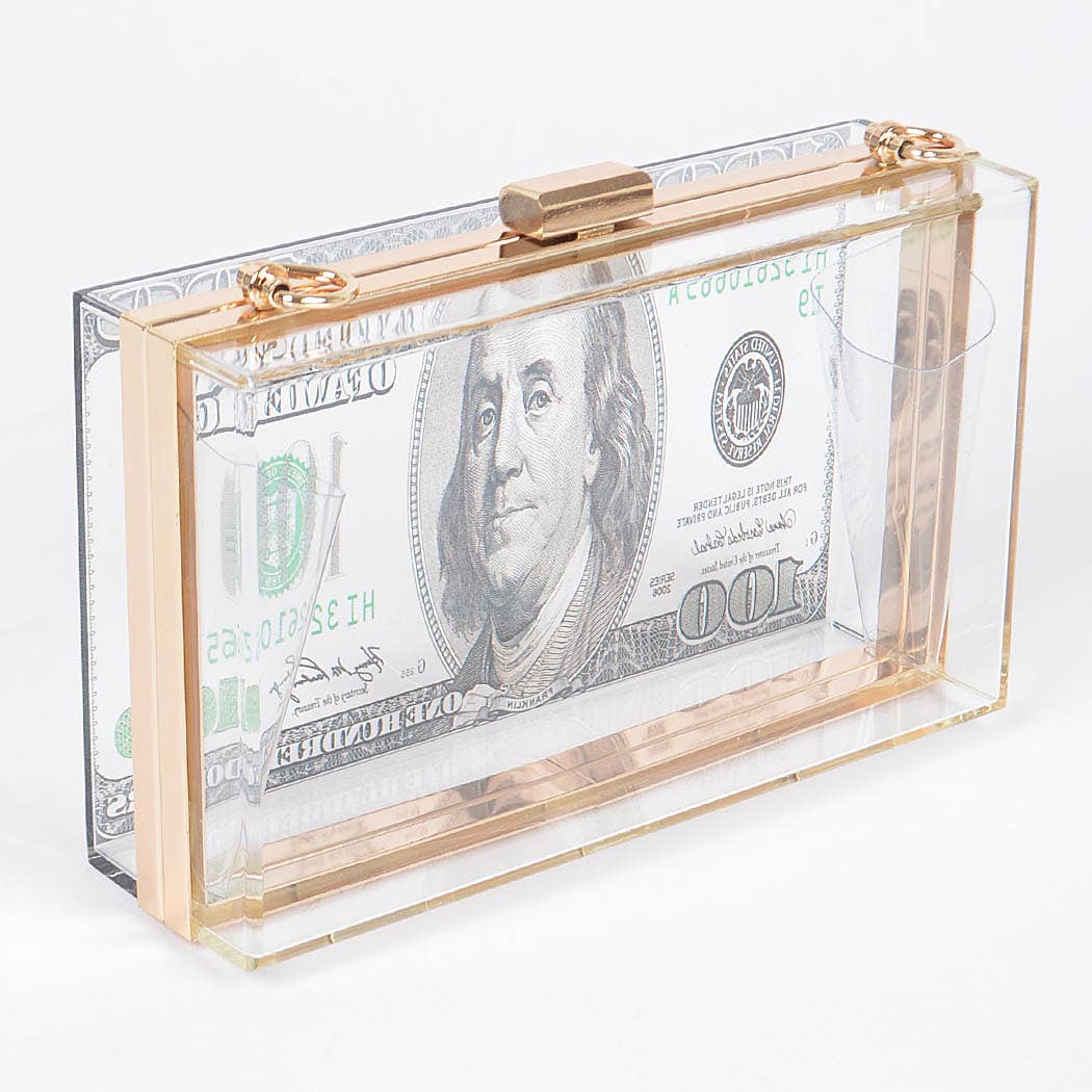 Money Printed Transparent Hard Case Bag