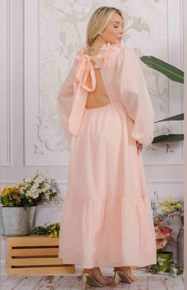 LONG SLEEVE V-NECK RUFFLE OPEN BACK TIE MAXI DRESS